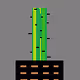 2022 CACTUS