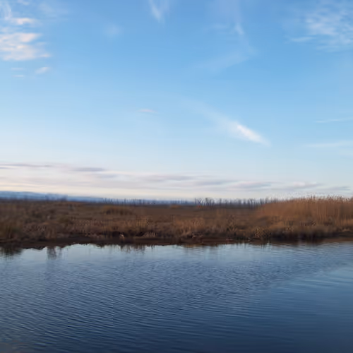 Untitled Collection #28168989