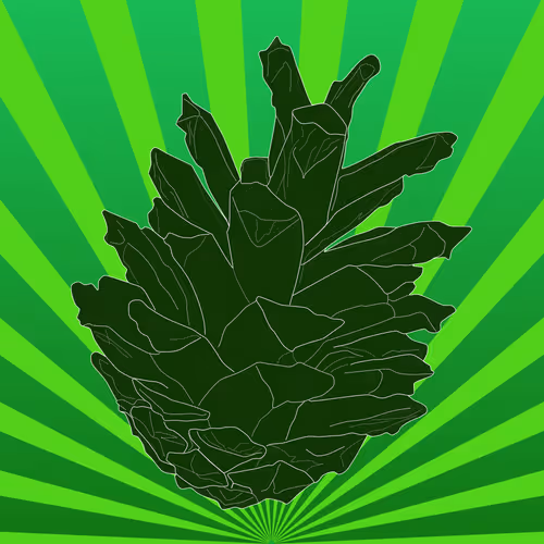 Item #51684206879132971117287575805148041327006568930595361555171380755730427543553 Media