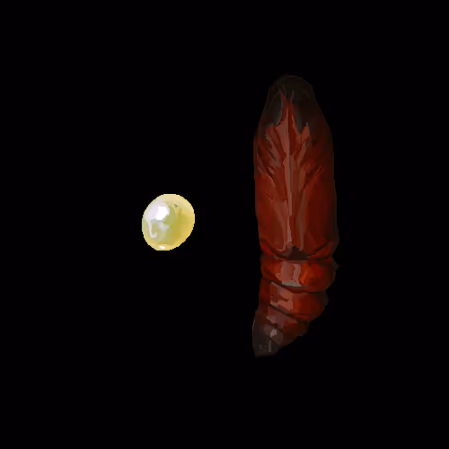 Item #23926592722501241653088435874563475503424690857757904009928287749260657557505 Media