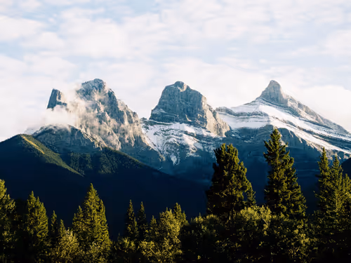 Untitled Collection #180124133 - old