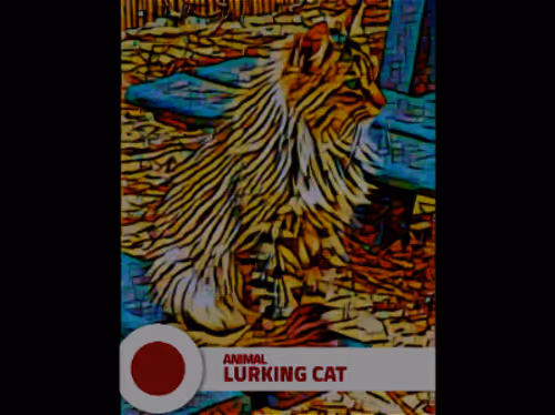 Item #24281329392251140360948476010546968559906160466653892428369881912891846688771 Media