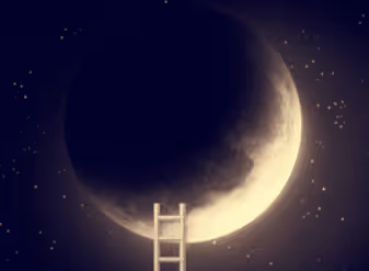 Untitled Collection #182288746