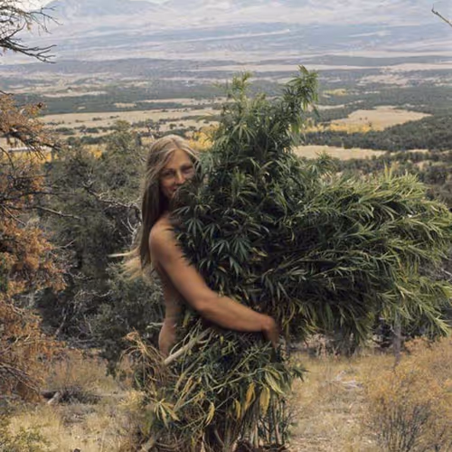 Untitled Collection #79555214