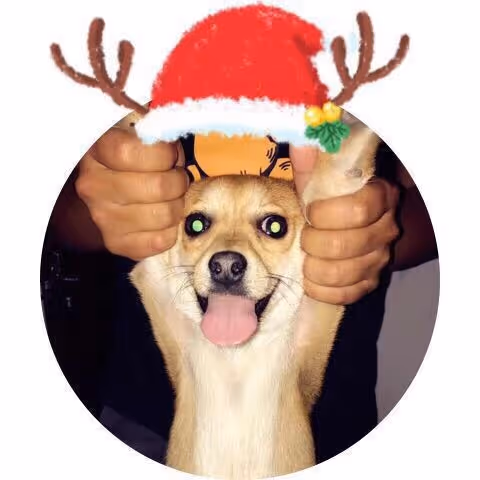 Untitled Collection #28683417