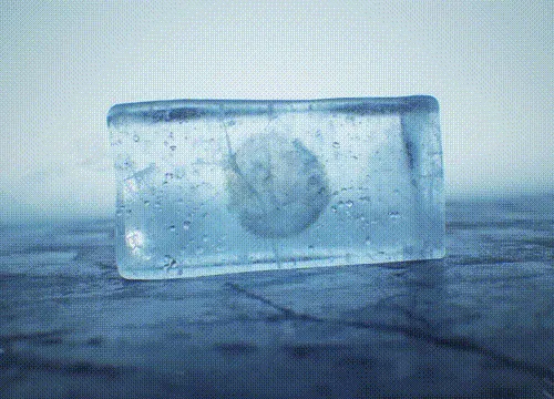 57318946476451200995887727952993032353443843299987120309893372006078462558307