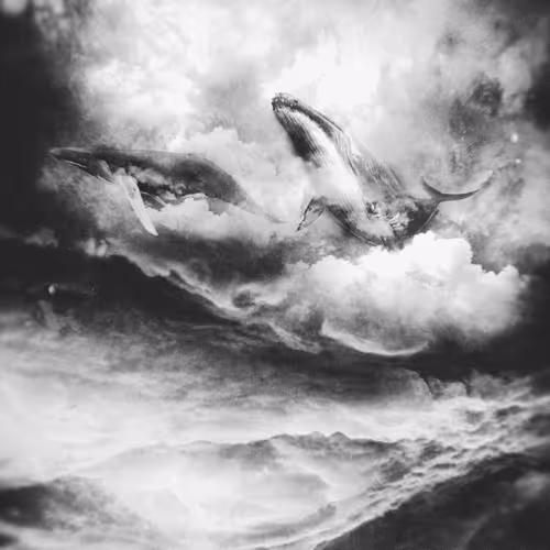 Untitled Collection #38021153