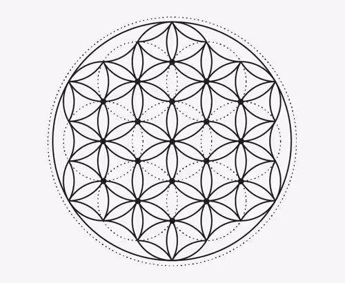 Untitled Collection #50051212