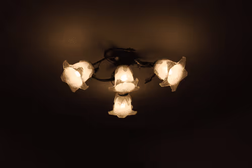 Untitled Collection #88601633