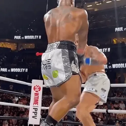 Untitled Collection #127215310