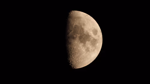 Untitled Collection #79109255