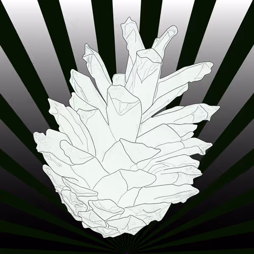 51684206879132971117287575805148041327006568930595361555171380759028962426881