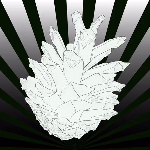 Item #51684206879132971117287575805148041327006568930595361555171380759028962426881 Media