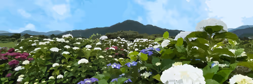 Item #90304862355822060284703455236642440290106328794042486672479538294887769178117 Media