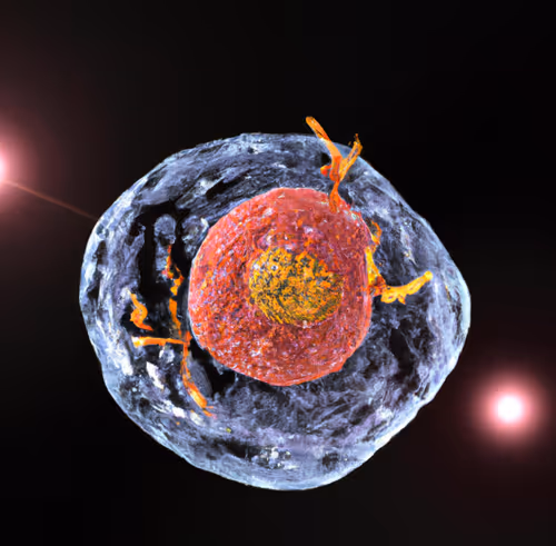 Item #15900858524274065462397165605509062893973264951757804275935713233462125133825 Media