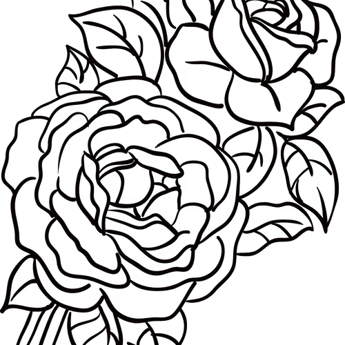 Untitled Collection #64032777