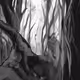 Environmental Nature and digital charcoals