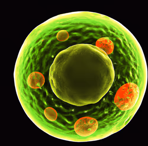 Item #15900858524274065462397165605509062893973264951757804275935713234561636761601 Media