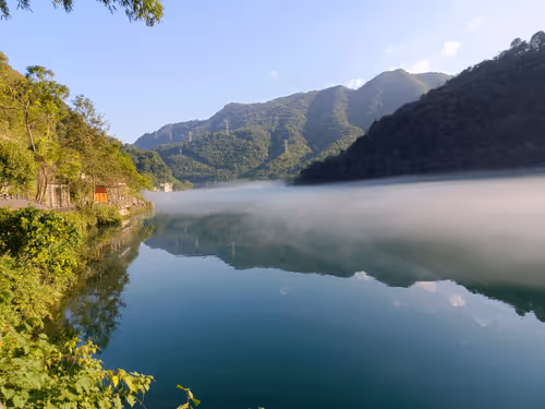 Untitled Collection #60733094