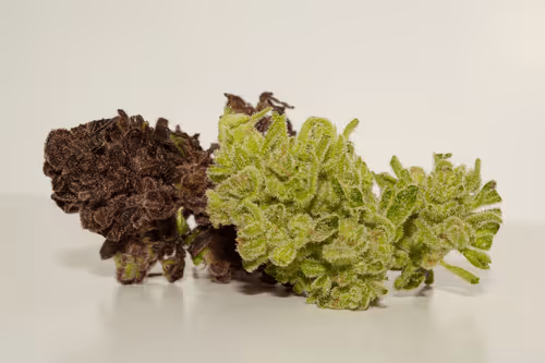 ysknabdnuofi Collection