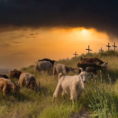 Landscape Nature Photography 1