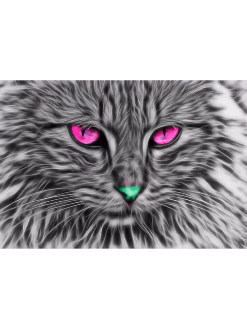 Item #70469049229583053751456040592558374656766630238032944084073234335296999391237 Media