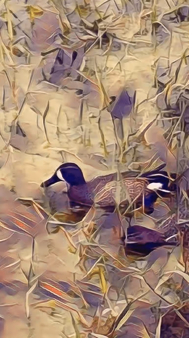 Item #100665082396174141855890121014930740576826293569193813829950182101396874067980 Media