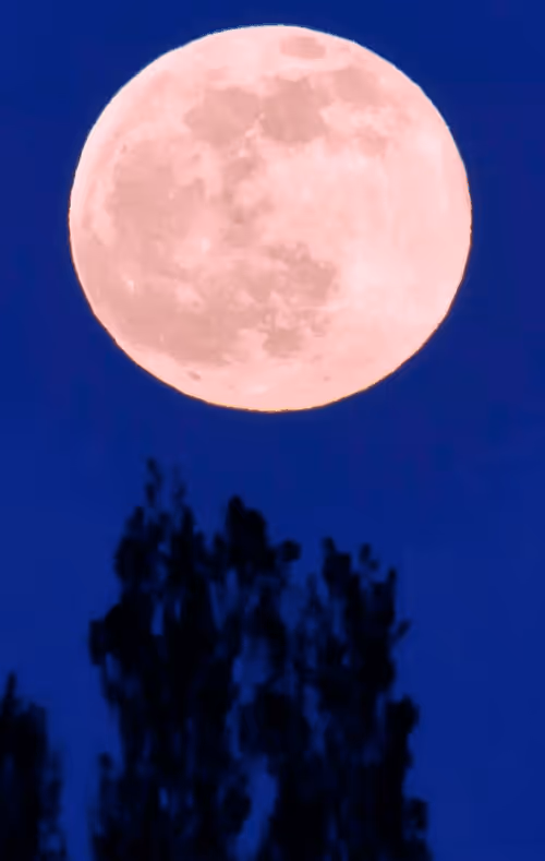 Item #104496985584808197411299000803927756186977529206466580863662693508073234890762 Media