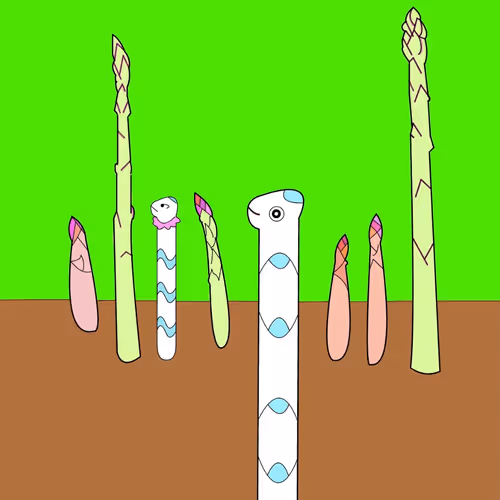 Anago under the sea
