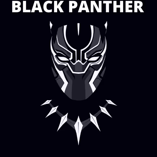 Untitled Collection #192800182