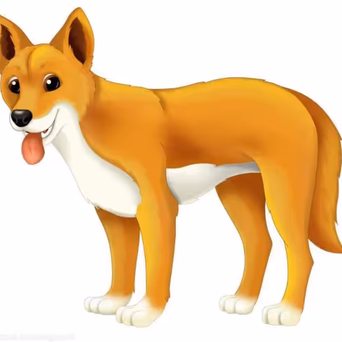 Untitled Collection #36196130