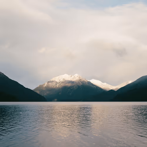 Untitled Collection #204436735