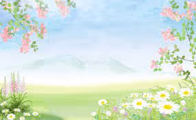 Untitled Collection #49989162