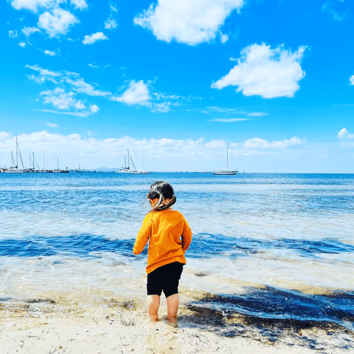 Untitled Collection #157314570