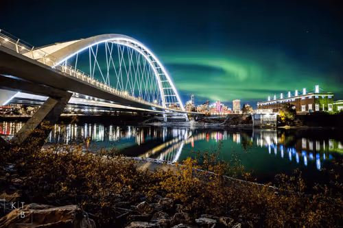 Untitled Collection #84193450