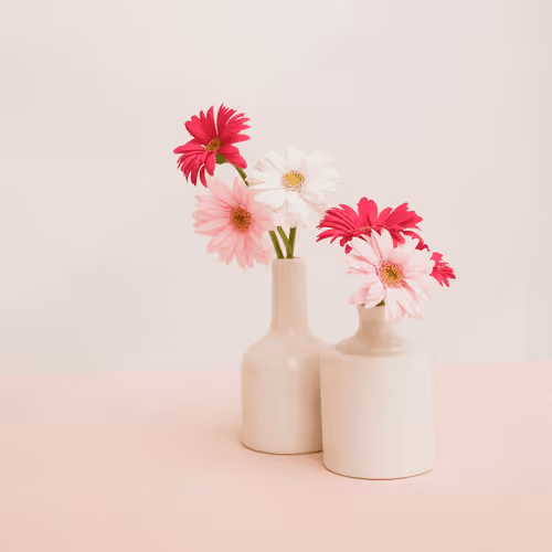 Untitled Collection #49091005