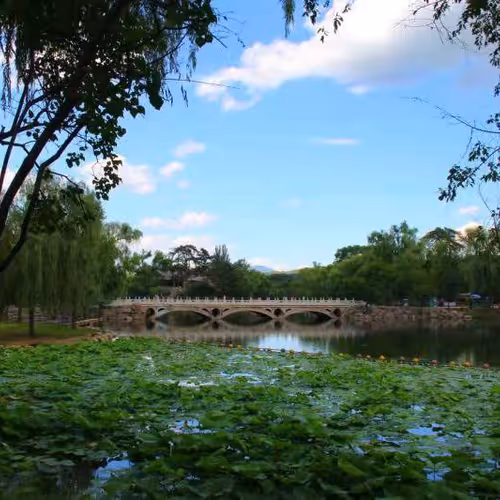 Untitled Collection #133127544