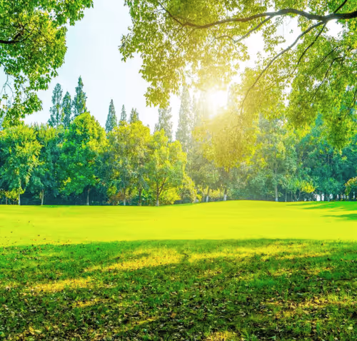 Untitled Collection #74480591