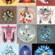 Untitled Collection #60786487