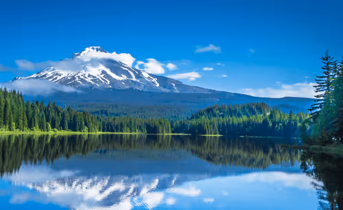 Untitled Collection #76943280