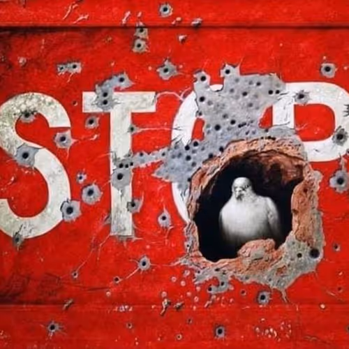 Untitled Collection #301962556