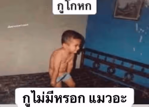 Untitled Collection #53625426