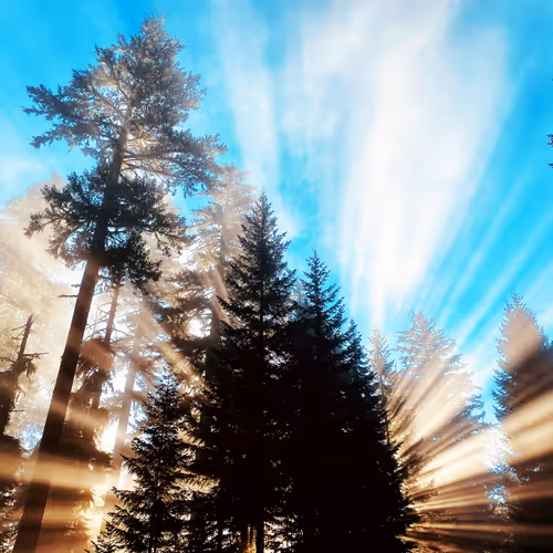 Untitled Collection #544846693