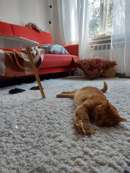 Item #74885386125841679683657863817676557915419392690100599251571086934095985377281 Media