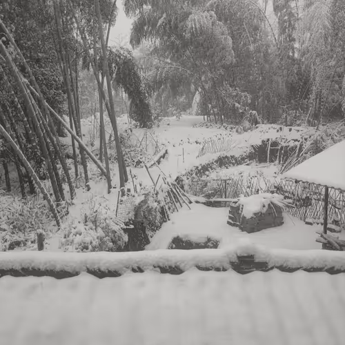 Untitled Collection #36760249