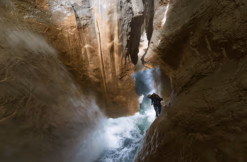 Untitled Collection #82367999