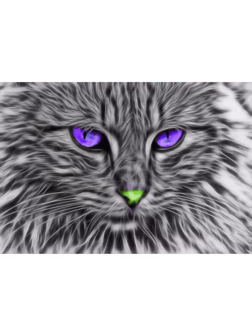 Item #70469049229583053751456040592558374656766630238032944084073234338595534274565 Media