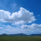 Untitled Collection #69082558
