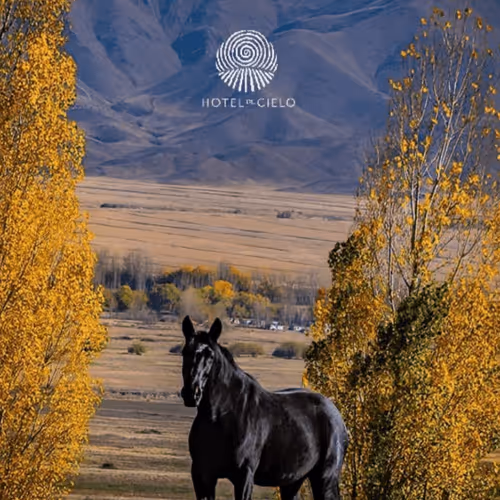 Untitled Collection #100360003 - old - old