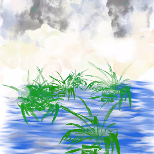 Disciple_13 Collection